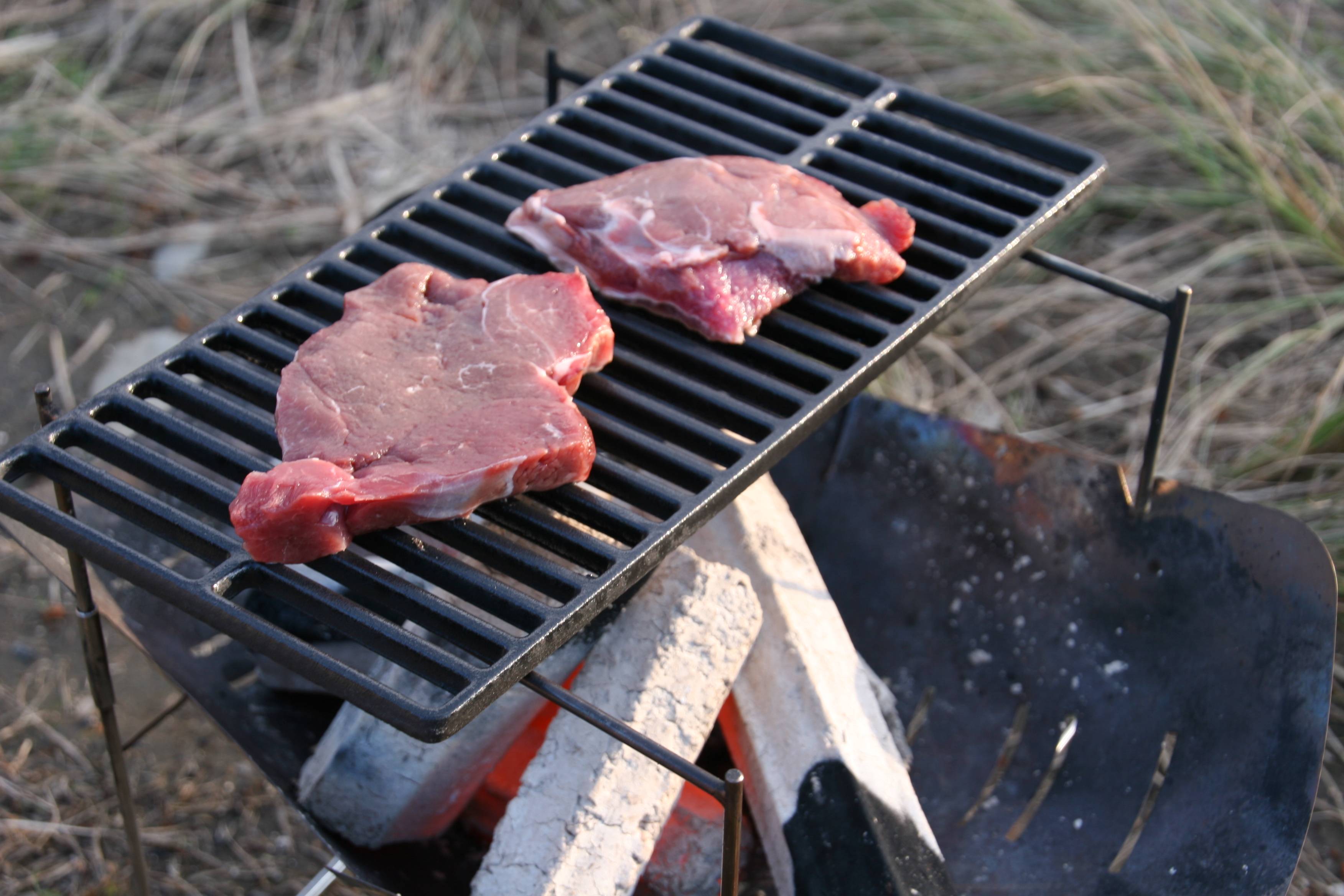 万能で丈夫 鋳物焼き網は Tkgコーポレーション ロースター T Style Outdoor